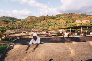 Cyesha Washing station